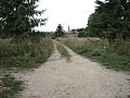 Gardens5 1024x768 - (123034 bytes)